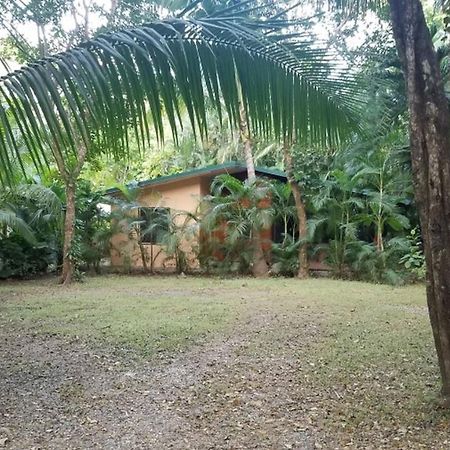 Nosara Paradise Rentals Luaran gambar