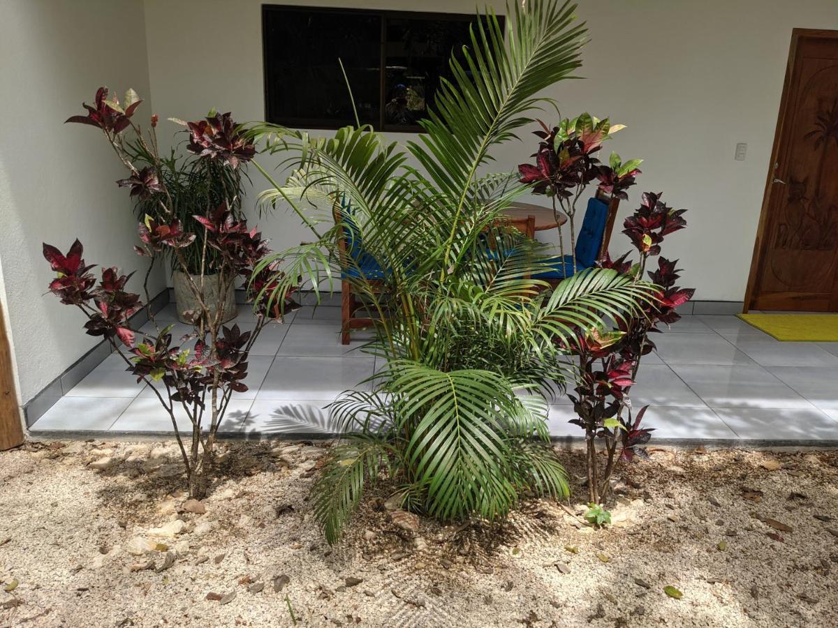 Nosara Paradise Rentals Luaran gambar