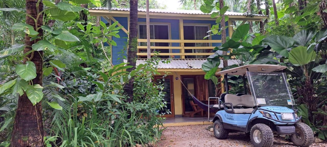 Nosara Paradise Rentals Luaran gambar